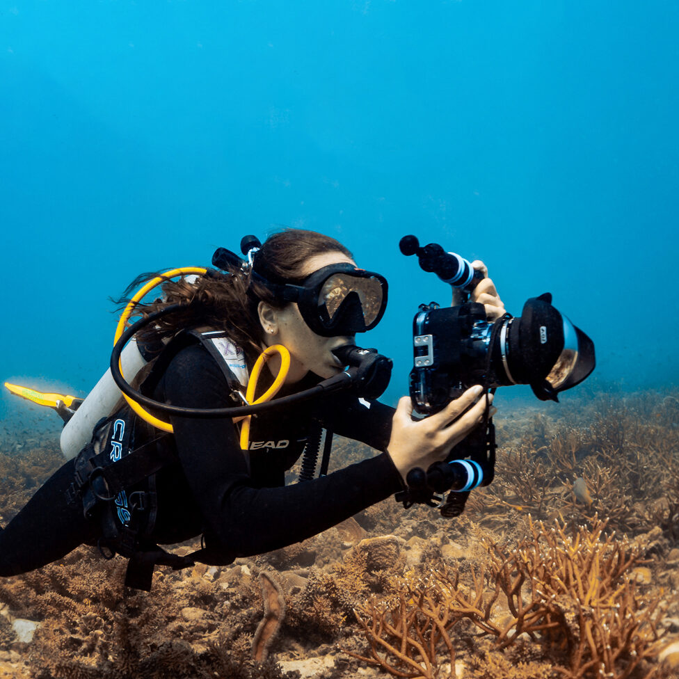 Diver shooting low-angle reef photography, Koh Tao