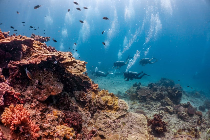 Divers at White Rock, Koh Tao