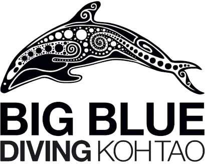 Big Blue Diving logo