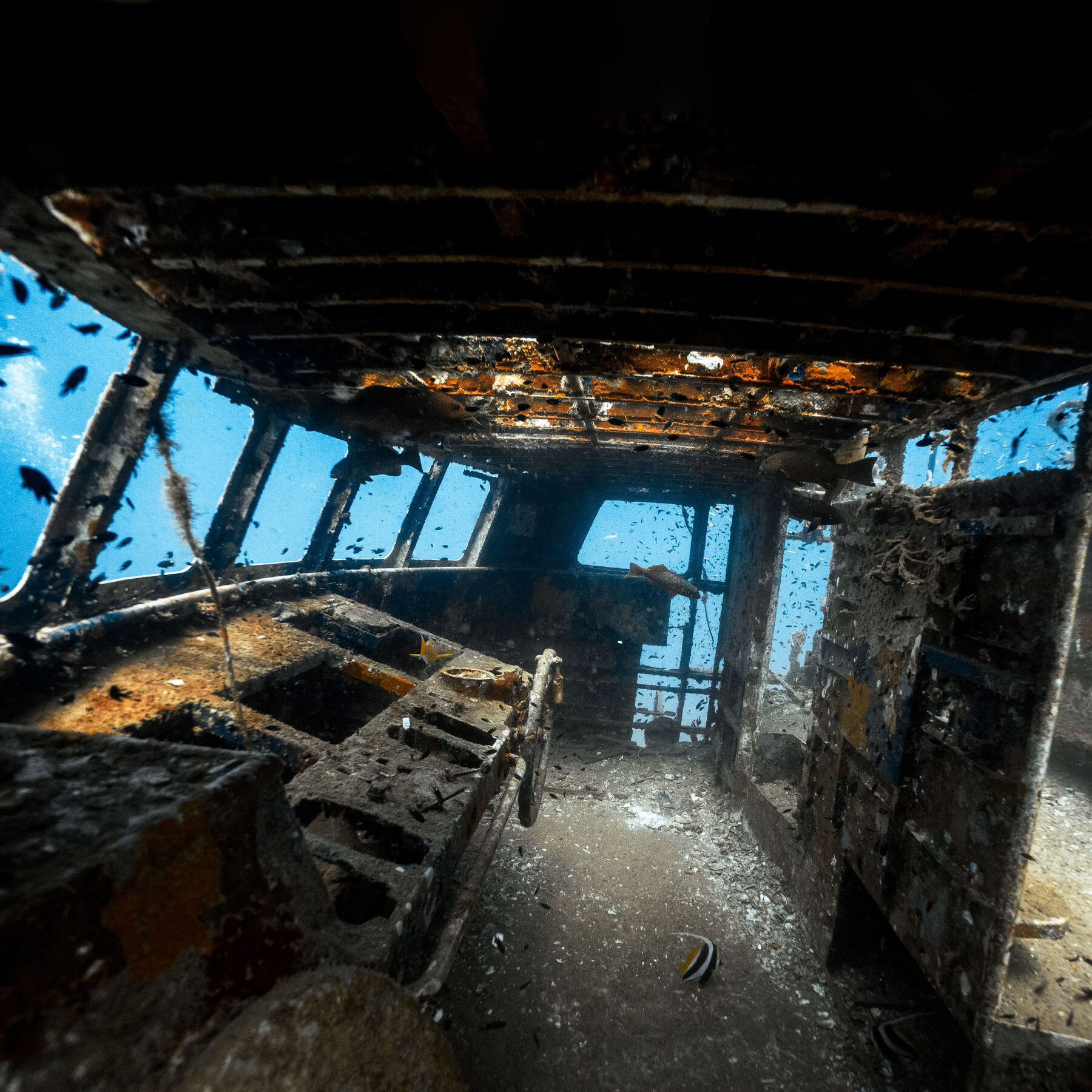 HTMS Sattakut wreck interior, Koh Tao